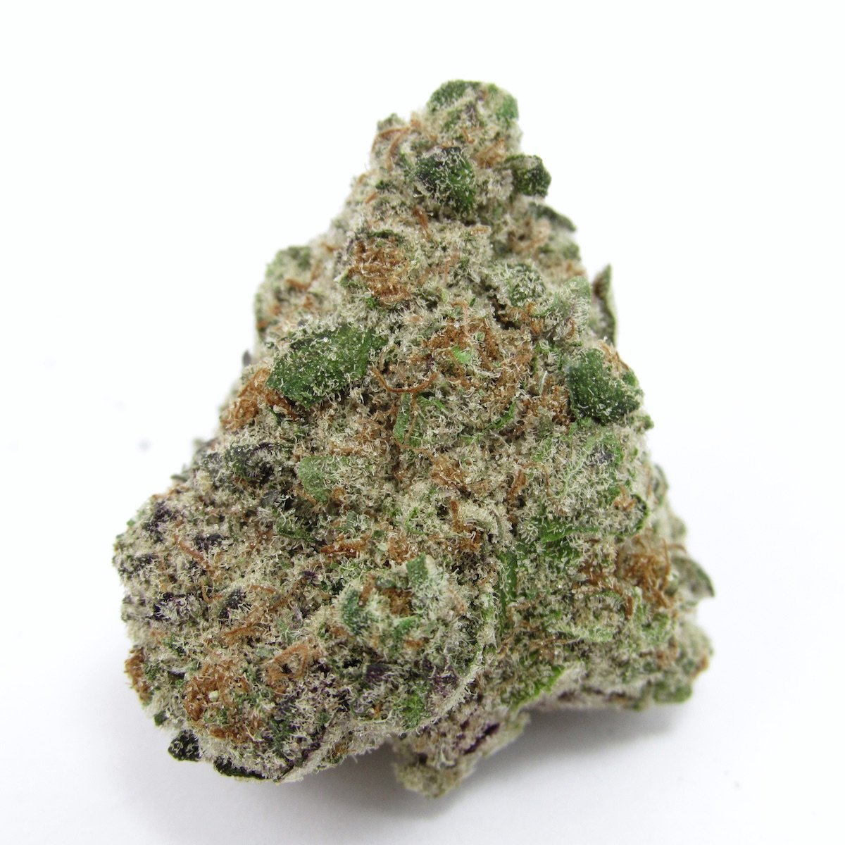 Orange Sherbert