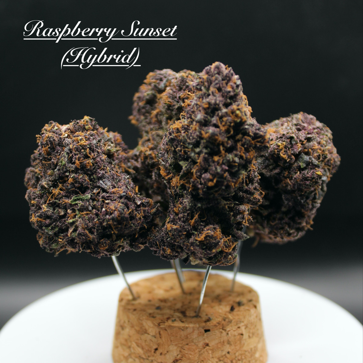 RASPBERRY SUNSET | 3.5G