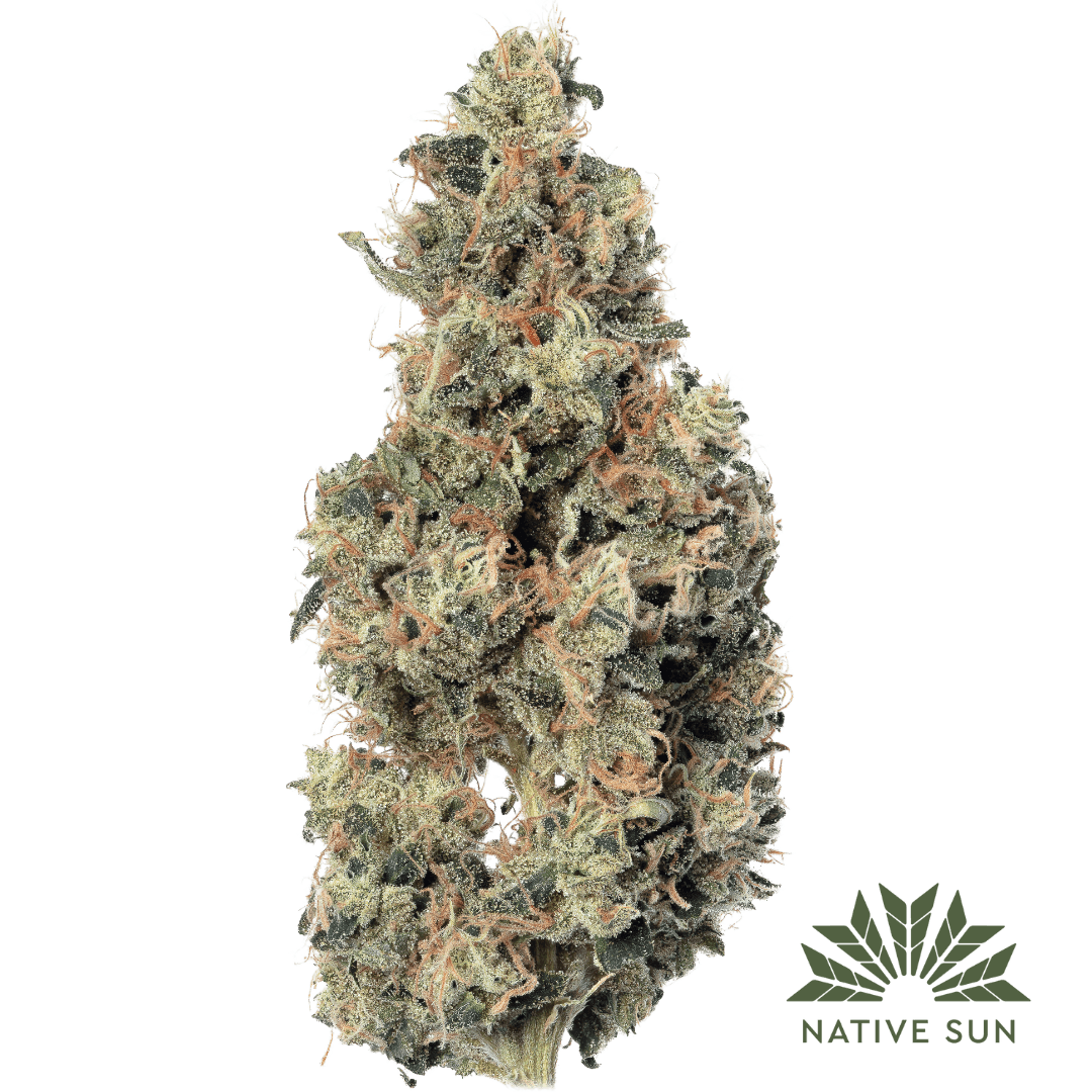 TAHOE OG | 3.5G