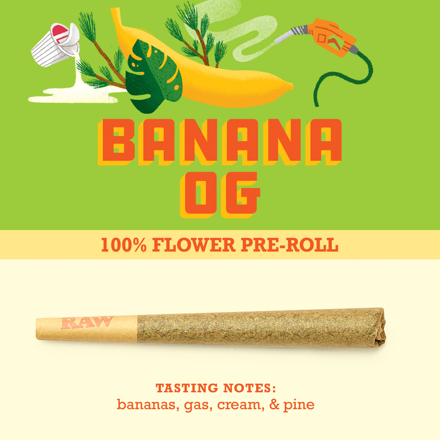 BANANA OG | 1G