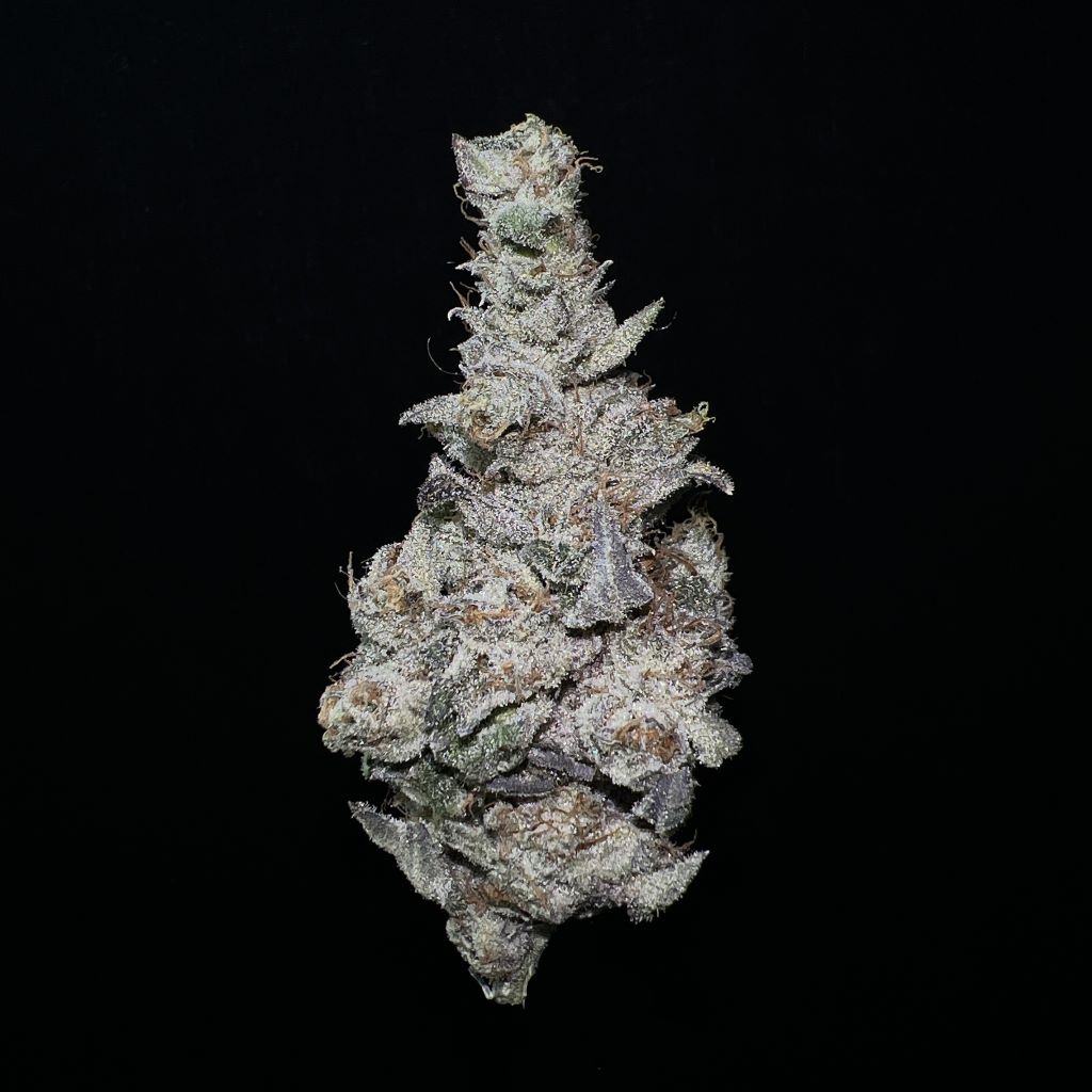 CANDY PAVE | 3.5G