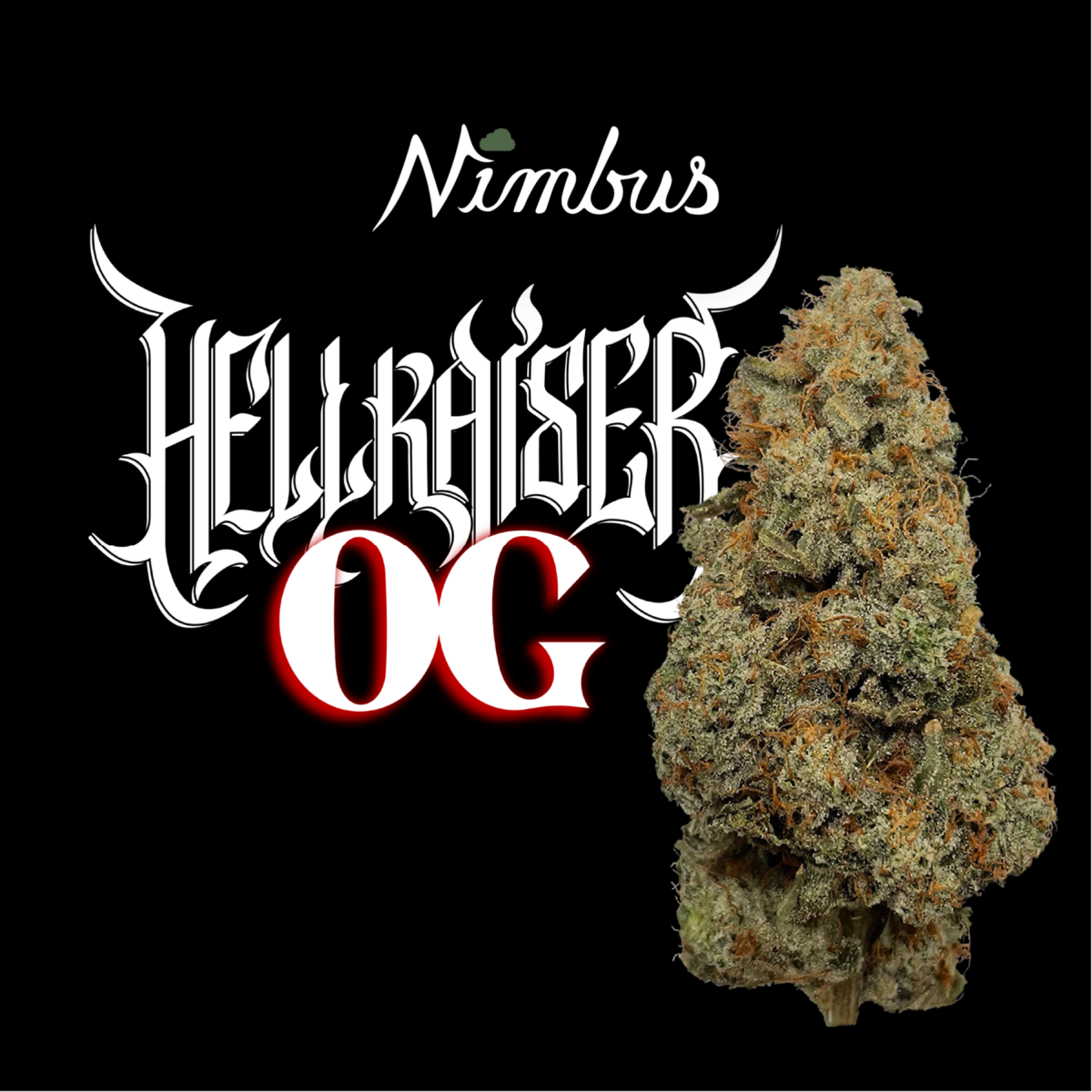 HELL RAISER OG | 3.5G