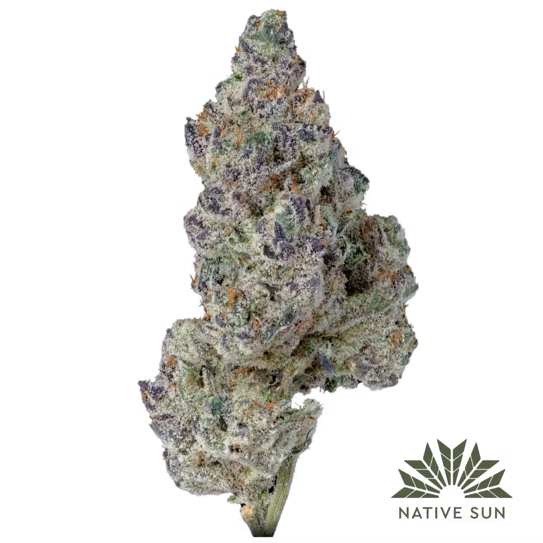 SOUTHIE SUNSET | 3.5G