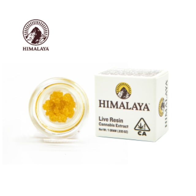 Himalaya — Shack Terp