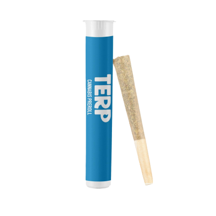 TERP: INDICA 1G PREROLL