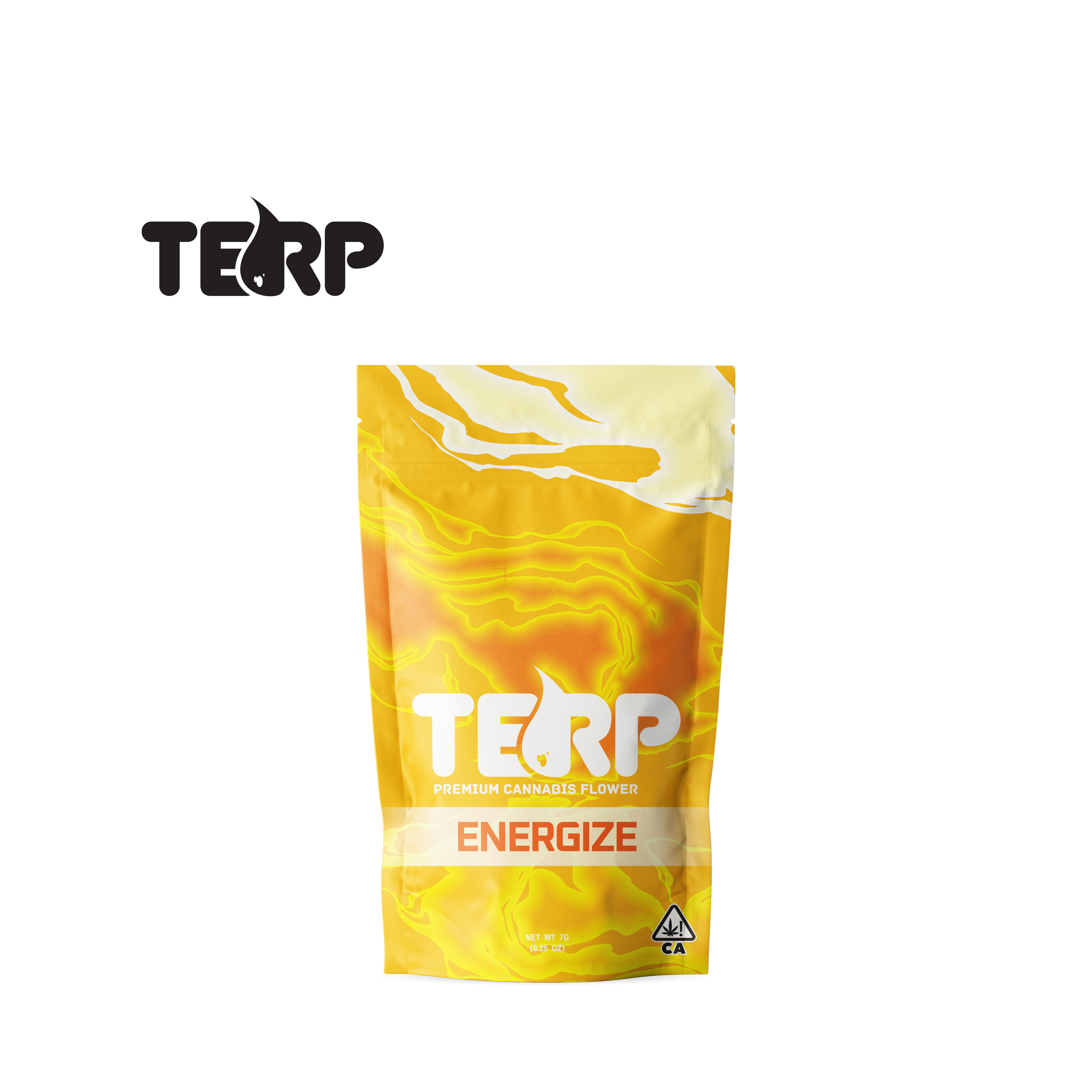 TERP — Gruntz