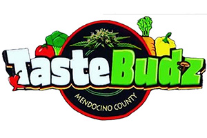 TASTEBUDZ — Tastebudz