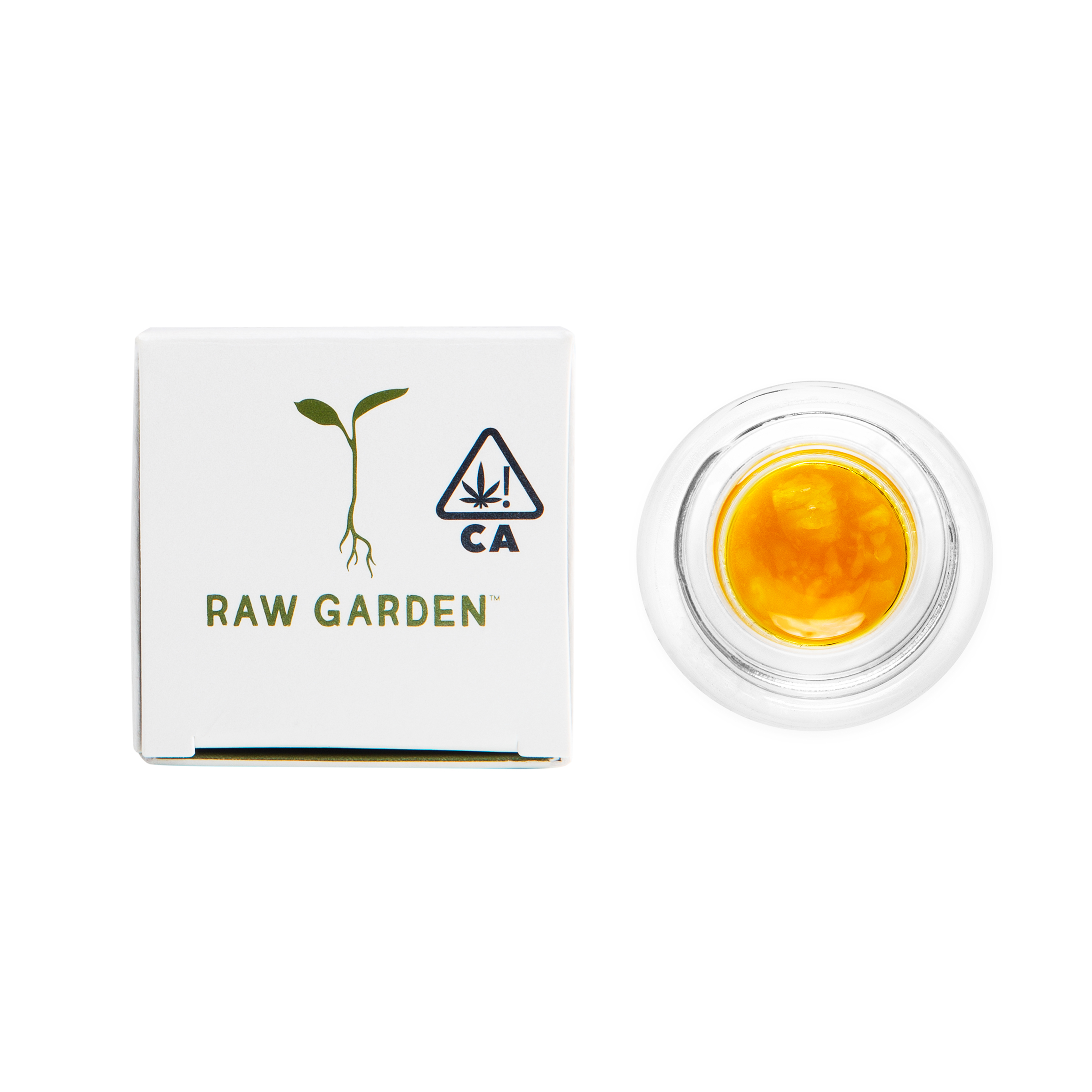Raw Garden: Electric Oasis