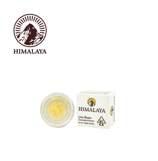 Himalaya — Island Mtn. Headband- - Terps