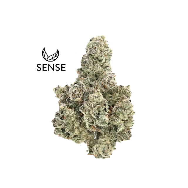 Sense: El Chivo #5