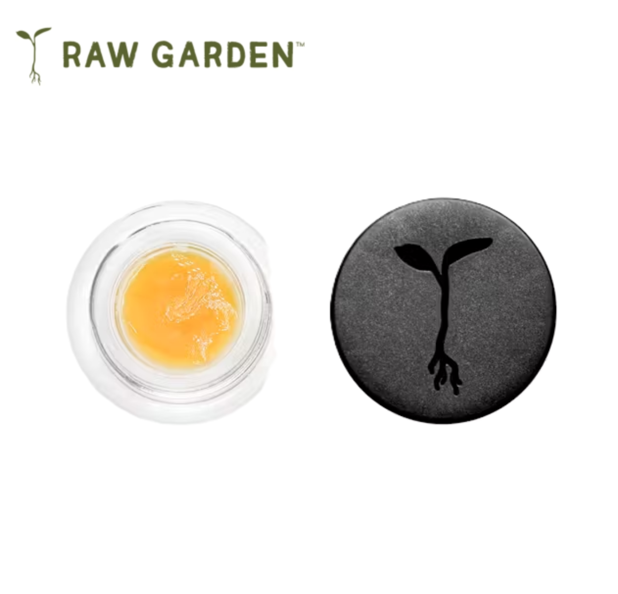 Raw Garden: Hella Jelly Live