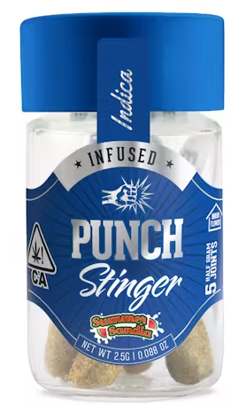 Punch: Stinger - Summer Sandia - 5