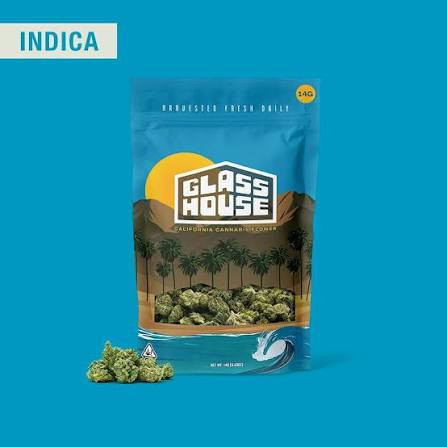 Glass House: Donny Burger #5