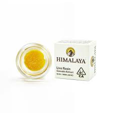 HIMALAYA STRAWBERRY PIE LIVE RESIN 1G INDICA