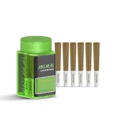 ANIMAL APPLE POP  INFUSED PREROLL 6 PACK