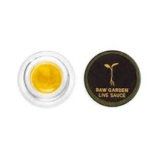 RAW GARDEN GG4 1.0G LIVE SAUCE