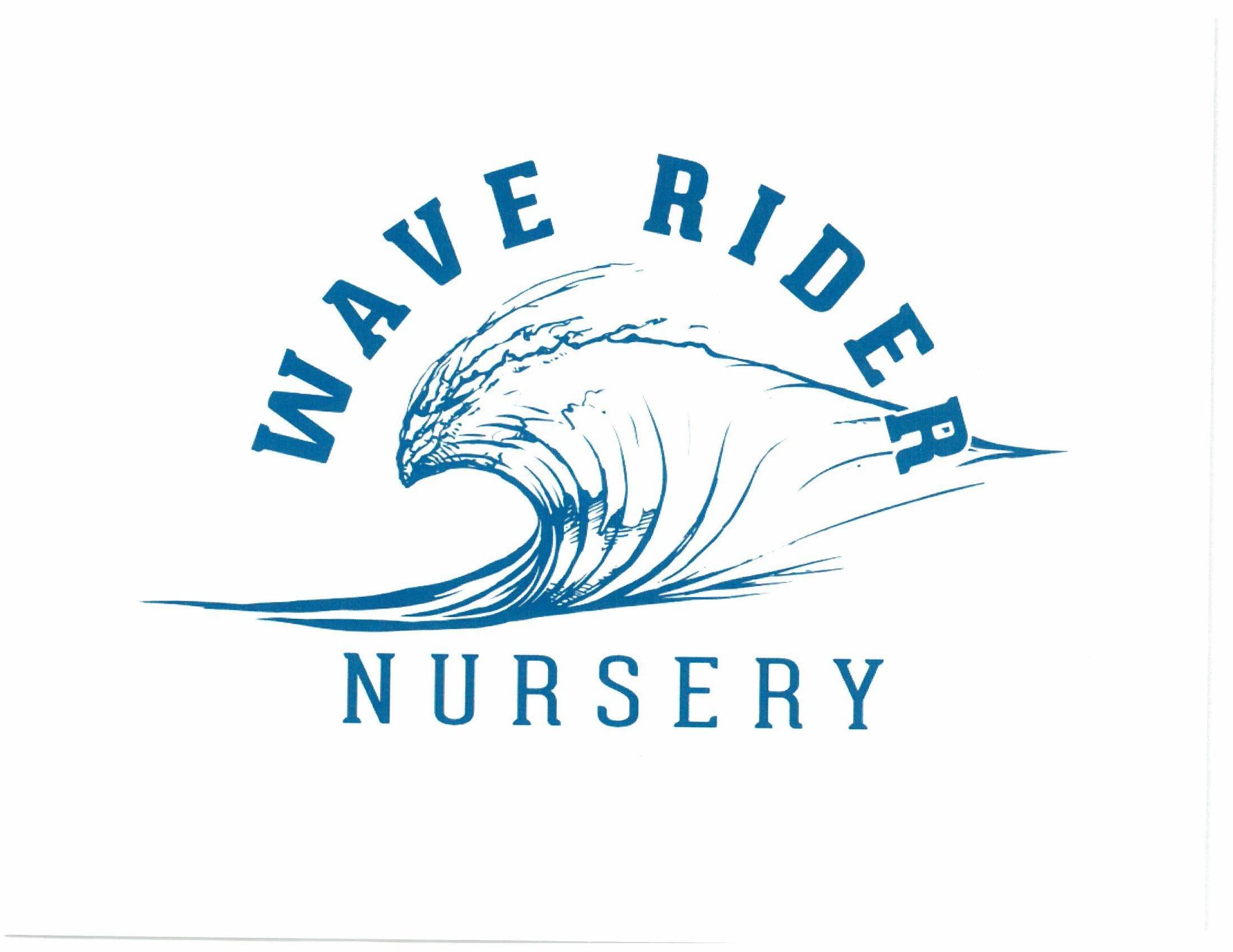 WAVE RIDER  14PK .5G PREROLL GRAPE GAS INDICA