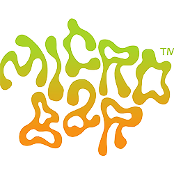 MICRO BAR AIO 1G GOLDEN DRAGON FRUIT