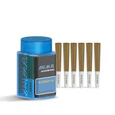 ANIMAL BLUEBERRY PIE INFUSED PREROLL 6 PACK