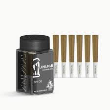 ANIMAL SFV OG INFUSED PREROLL 6 PACK