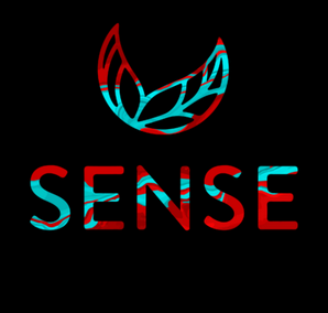 SENSE ORANGE CHAI FLOWER STRAIN 3.5G