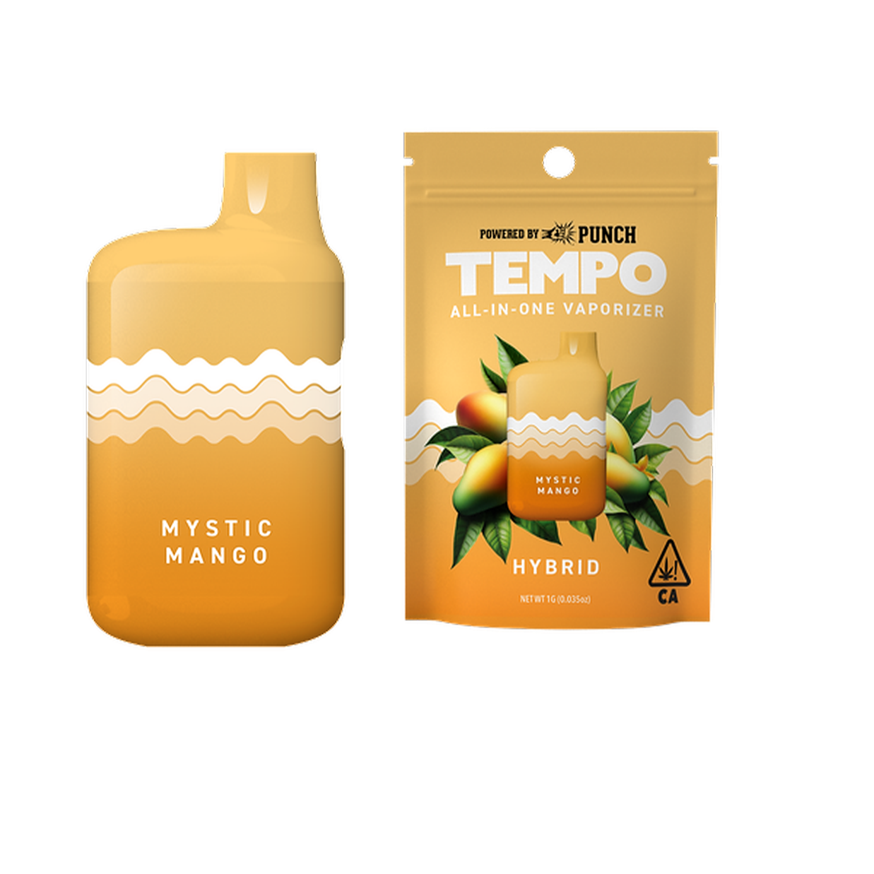 TEMPO MYSTIC MANGO ALL IN ONE VAPE 1G