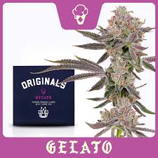 ORIGINALS GELATO FLOWER STRAIN 3.5G