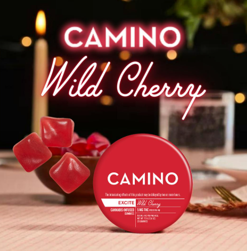 Wild Cherry "excite" | 5mg 20pk|