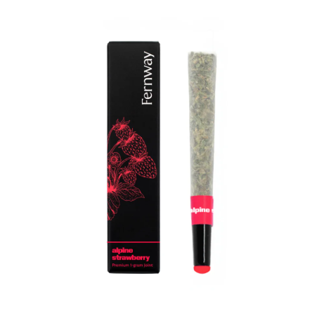 Alpine Strawberry | 1g | Preroll