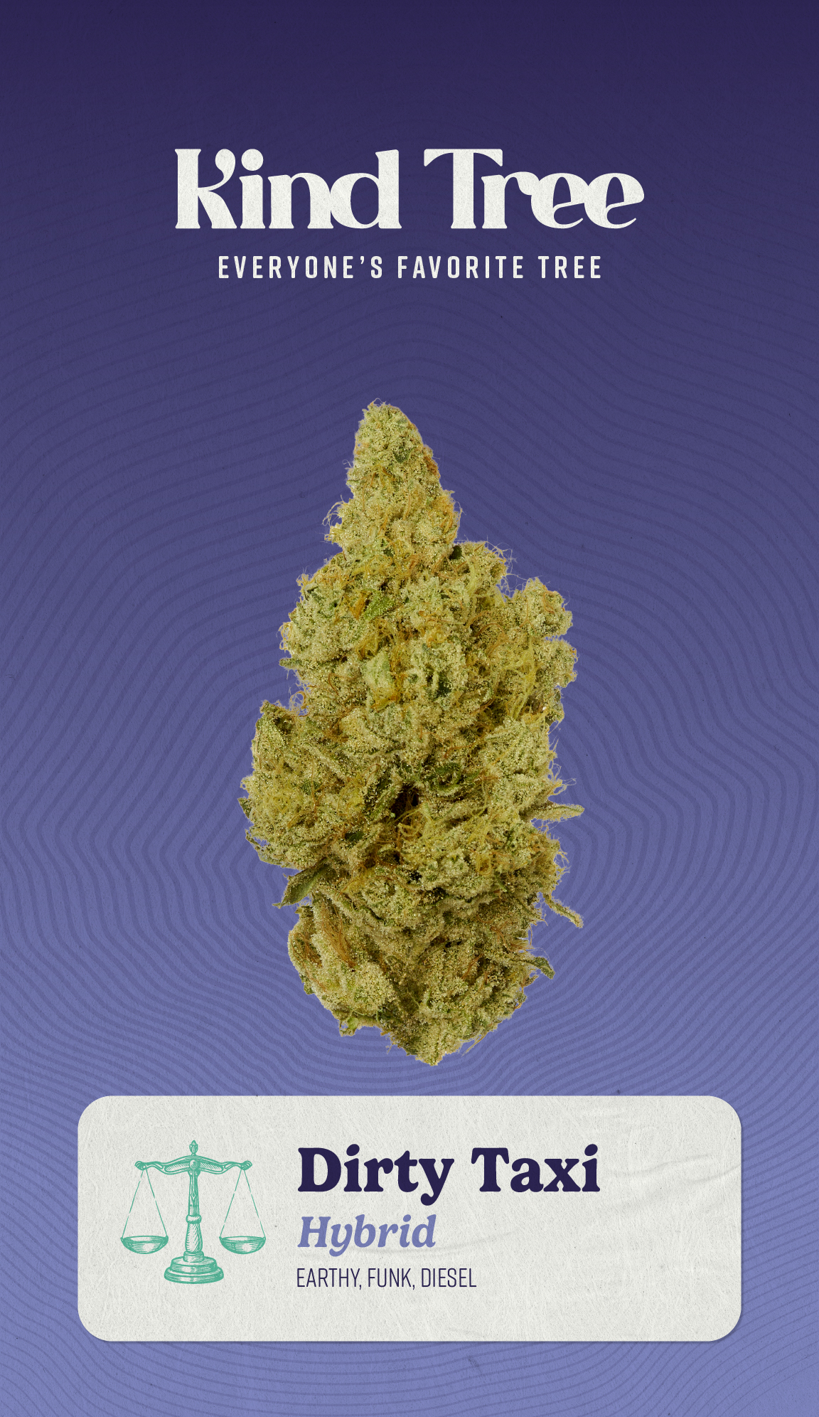 Dirty Taxi 3.5g undefined KINDTREE RIPT Jersey City (Med) 220