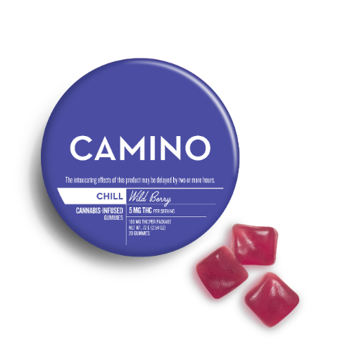 Wild Berry Chill 100mg 20pk