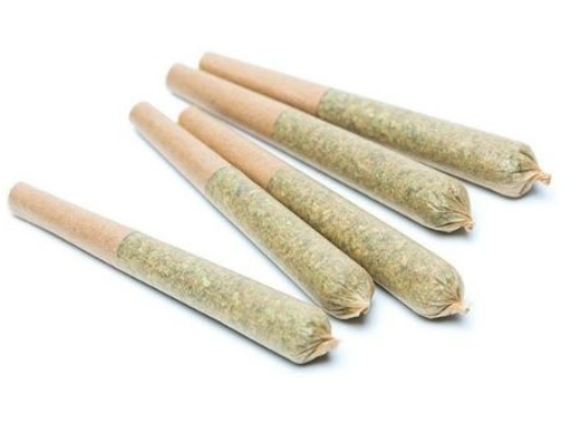 BLUEBERRY PIE | 5 PACK