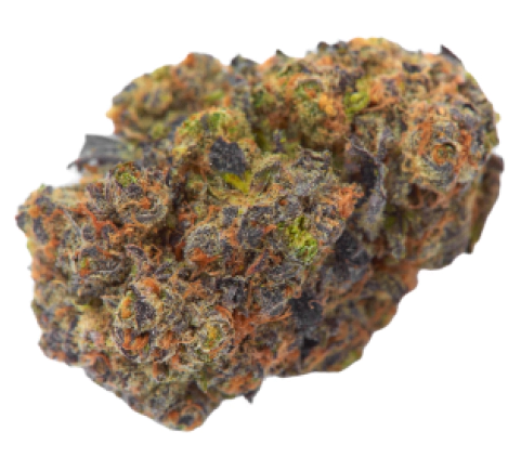 MED | POT ROAST