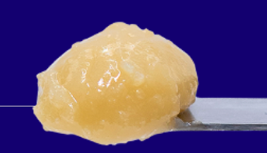 C@N#Y FUMEZ | LIVE ROSIN | 2G