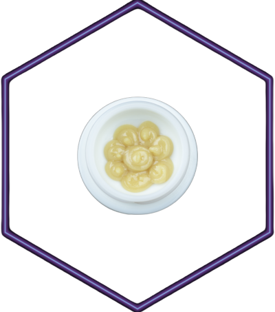 SUN JEWEL | PREMO BADDER | 1G