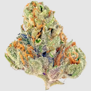 FROSTED GELATO