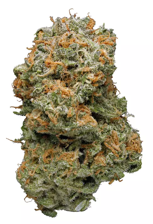 MED | BLUE DREAM