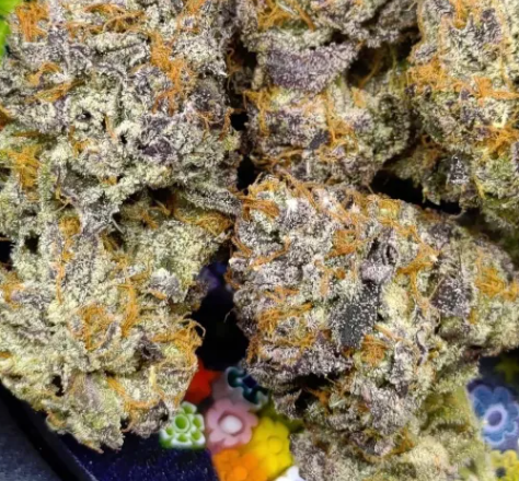 MELON CHERRY GELATO