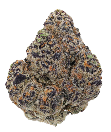 MED | BLACK VELVET | 14G