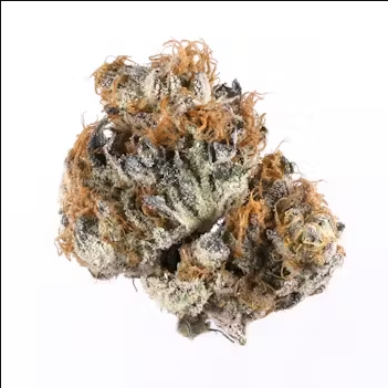 MED | PUNCH BREATH