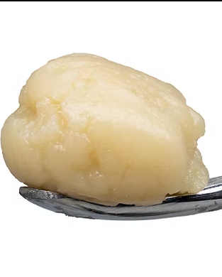 MED | TERP DADDY | 90U LIVE ROSIN | 1G