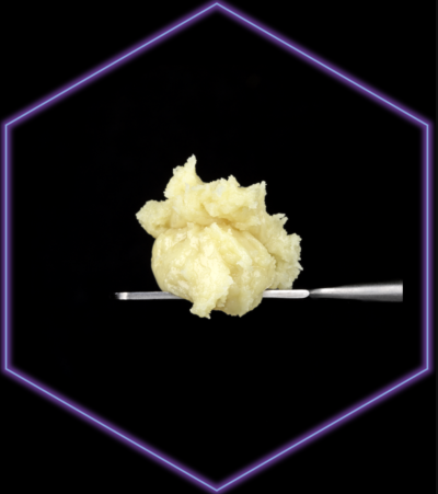 TURBO AMETHYST | PREMO BADDER | 2G