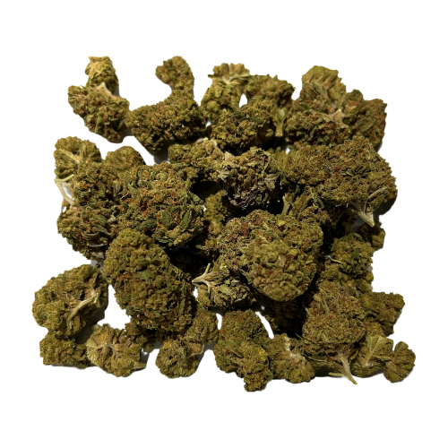 PURPLE URKLE | 14G