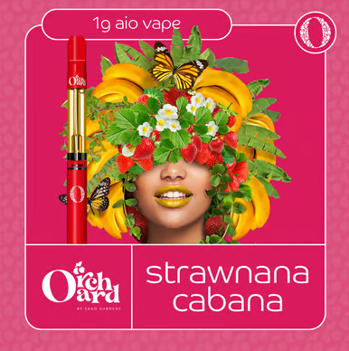 STRAWNANA CABANA | AIO | 1G