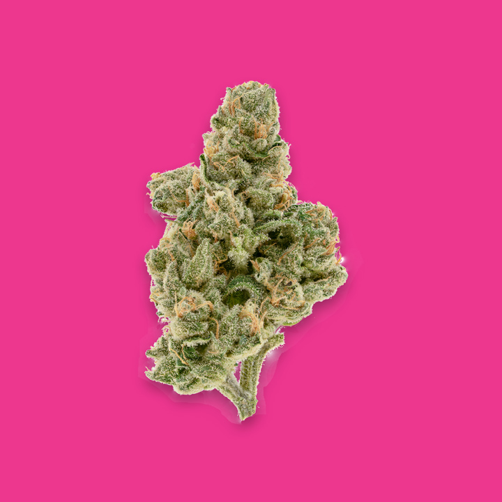 STRAWBERRY KOLA RESERVE FLOWER QUARTER
