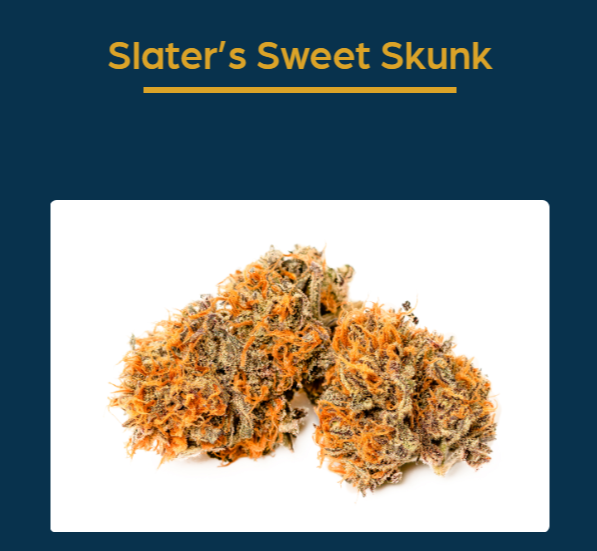 Image of SLATER'S SWEET SKUNK | 3.5G