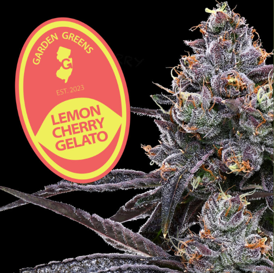 CBXE×CBGハーブ3g レモンチェリージェラート CBXE×CBGハーブ3g レモンチェリージェラート Lemon Cherry