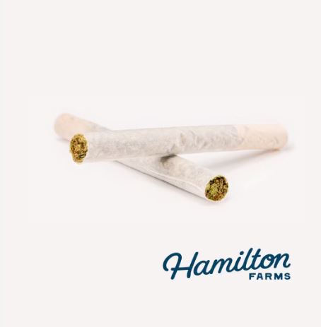 Image of NIGHT CHARMER | 1G | 2PK