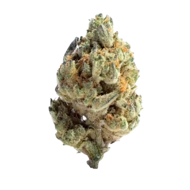FARMERS CUP | PAPA BURGER | 28G | JAR