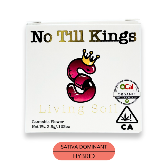 NO TILL KINGS | SUPER SILVER HAZE | 3.5G